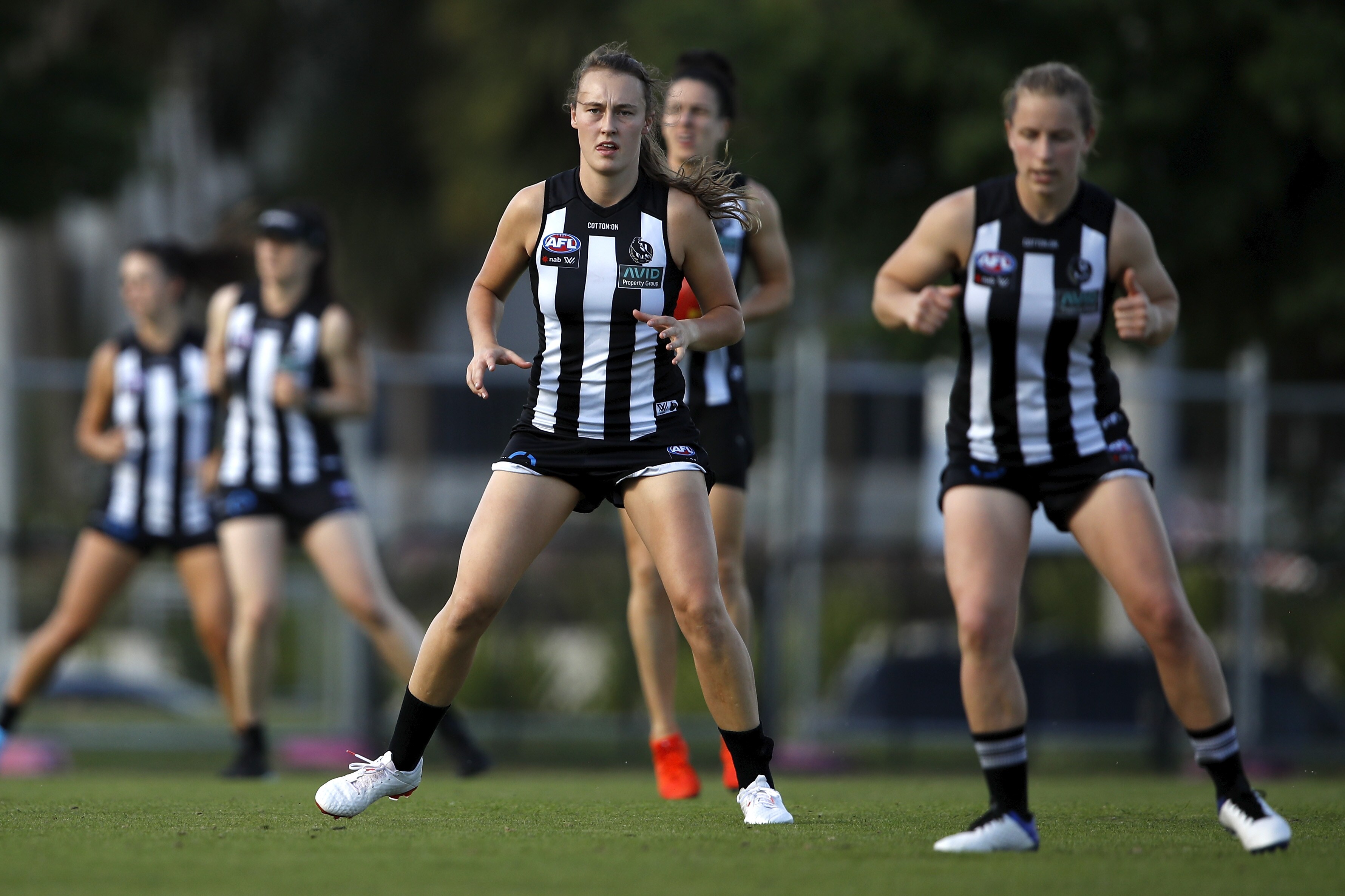 Collingwood season guide