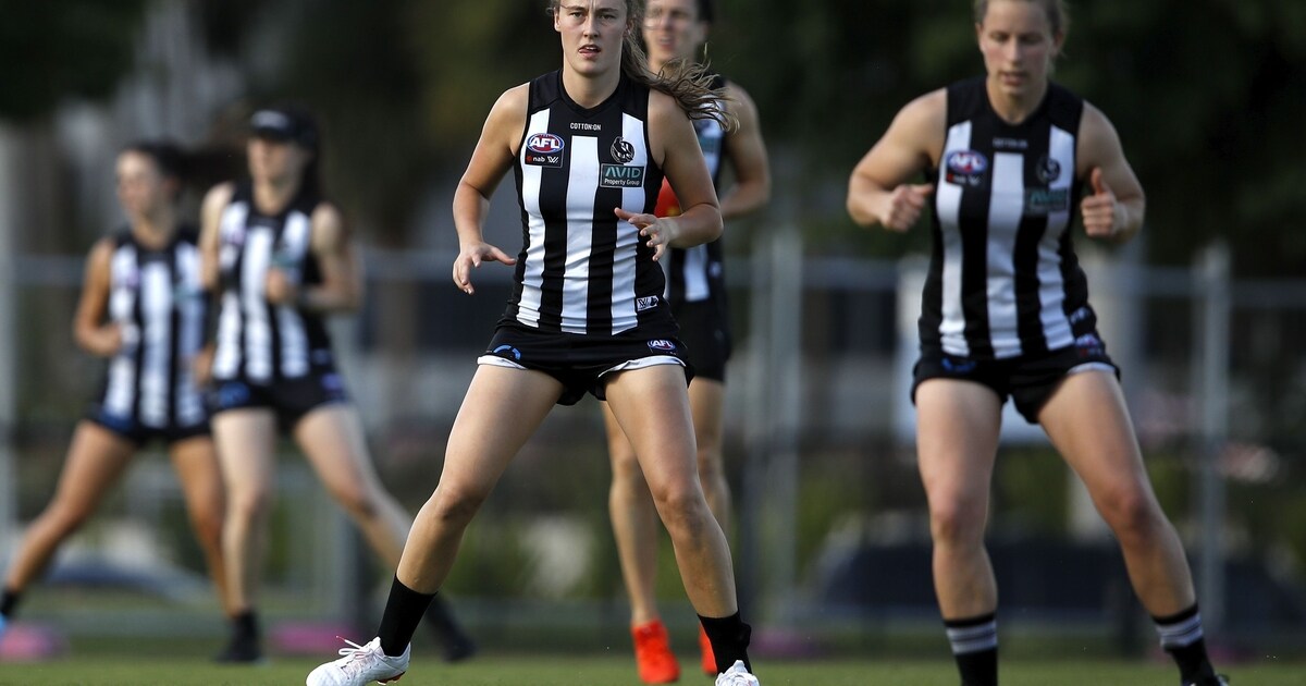 Collingwood season guide