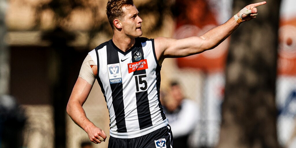 VFL Pies alive in September after 75-point Wildcard Round victory - Vimarsana News