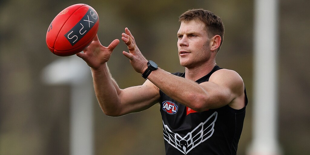 Taylor Adams Injury Update - Vimarsana News