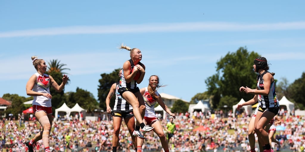 Pies defeated on the road - Vimarsana News