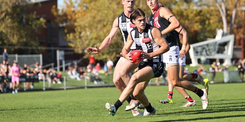 Pies fall to Essendon at Victoria Park - Vimarsana News