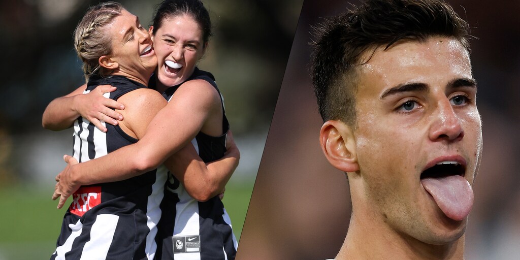 Weekly wash up: Pies secure three wins over successful weekend - Vimarsana News