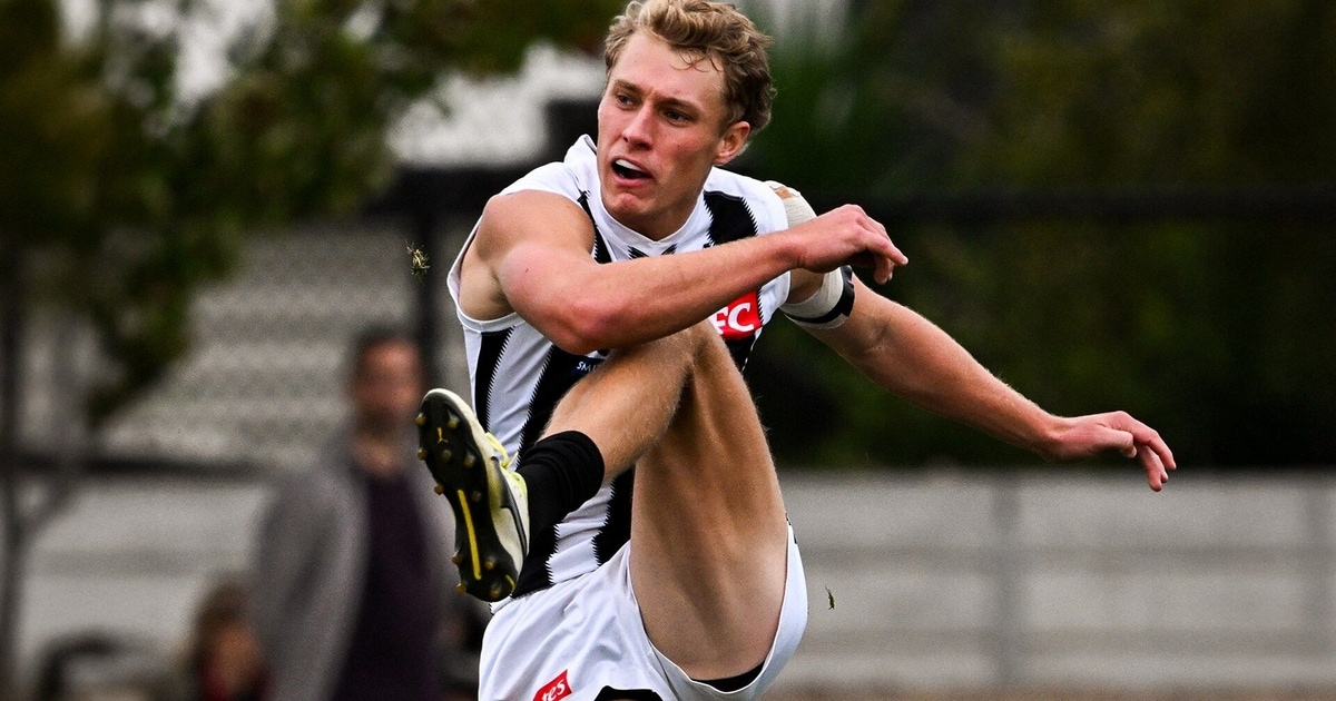 Mike Rae Nfl Macrae shines in VFL return