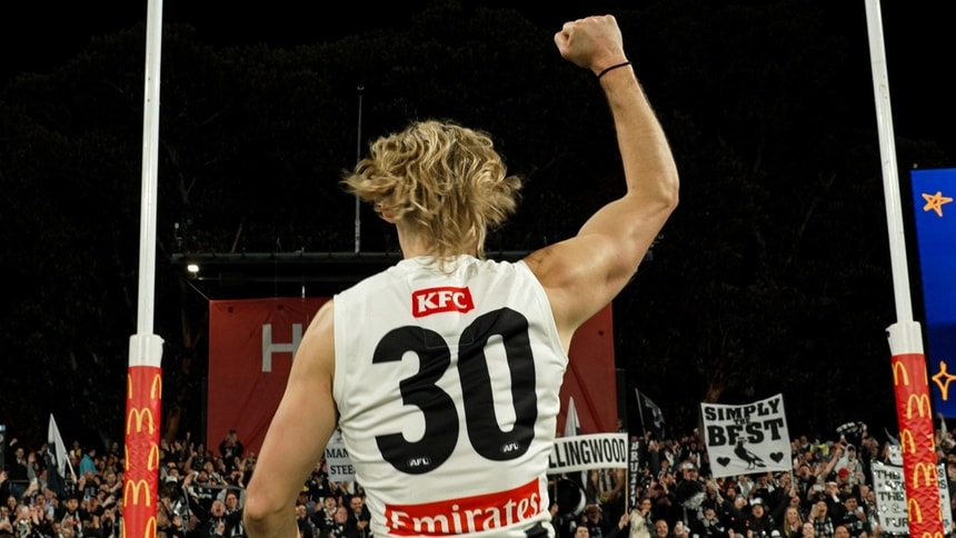 Magpie Army - The best in the world