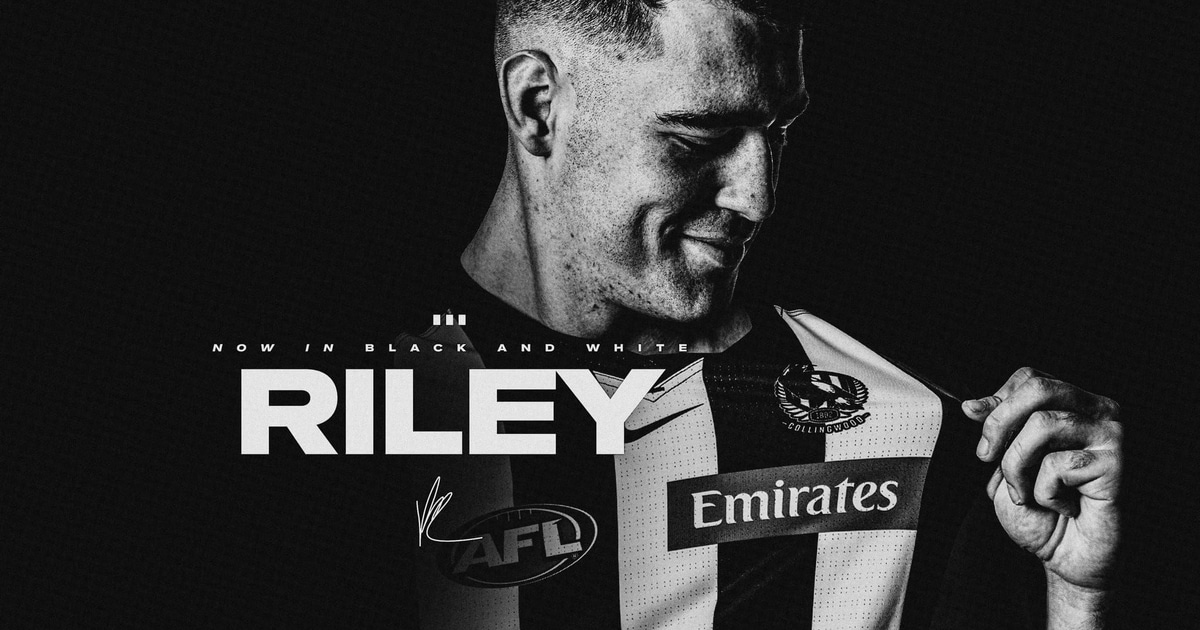 Riley the Pie